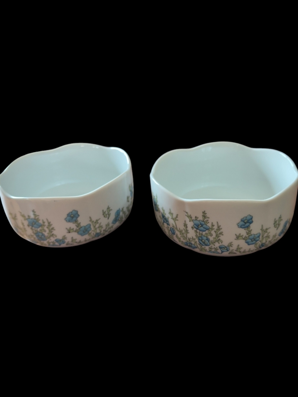 Vintage Tirschenreuth Fleur Fiorita China Set Of 2 Bowls -Rare!